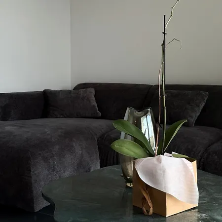 Appartement Terra Loft 2 *